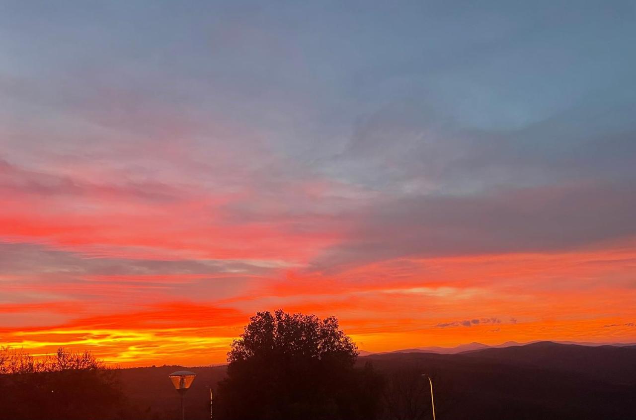 Il Tramonto Apartment Montalcino Bagian luar foto